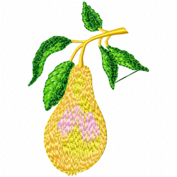 Pear Embroidery Design 3 Pear Embroidery Design 3